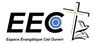 logo eeco avec croix blanche sans contour sans fond